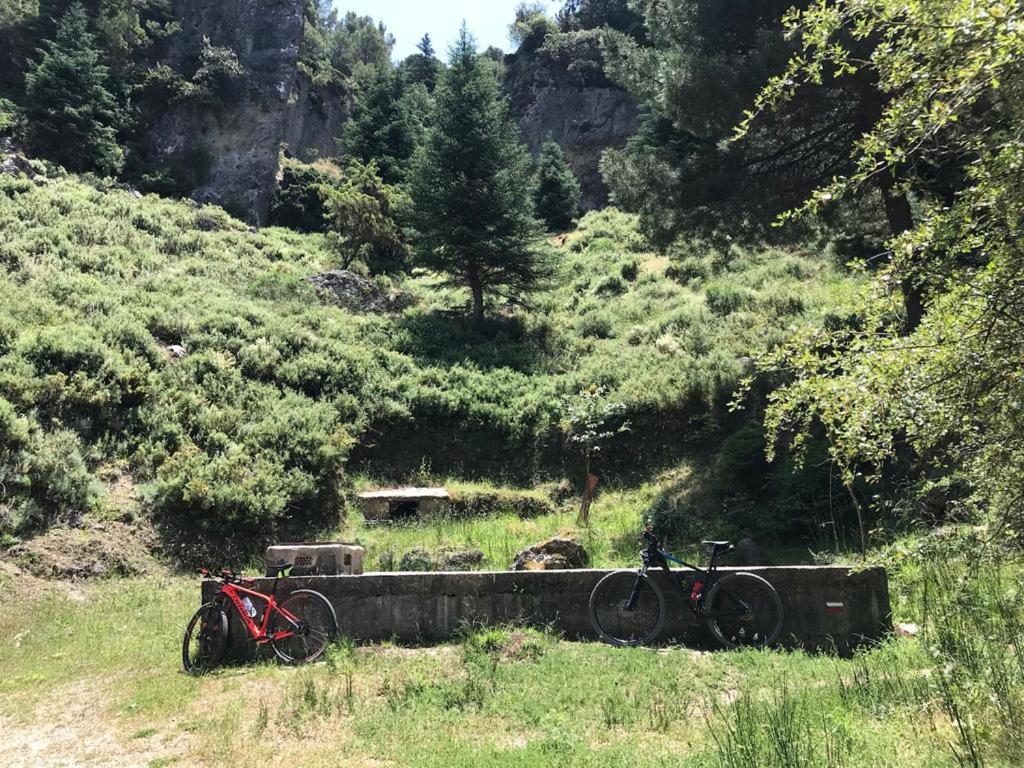 Casa Petra : Bonita Casa Rural En Yunquera Εξωτερικό φωτογραφία