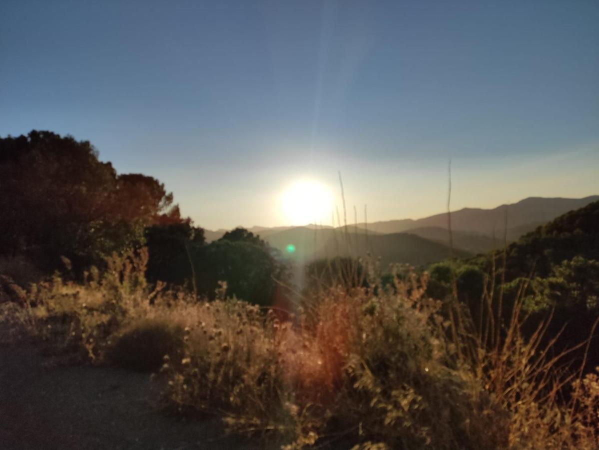 Casa Petra : Bonita Casa Rural En Yunquera Εξωτερικό φωτογραφία